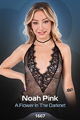 Noah Pink / A Flower In The Darknet