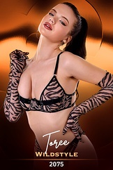 Toree / Wildstyle