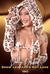 Dolly Orchid / Snow Leopard's Hot Love